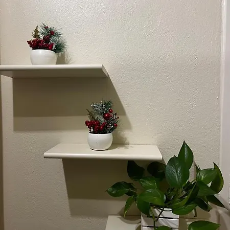 Maison Del Ducato Cavour 37 아파트 파르마